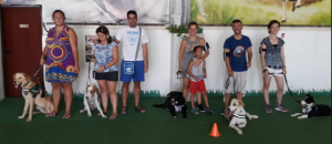 PERROS ADIESTRADOS AYUDAN A DETECTAR LAS CRISIS EPILÉPTICAS ANTES DE QUE SE PRODUZCAN